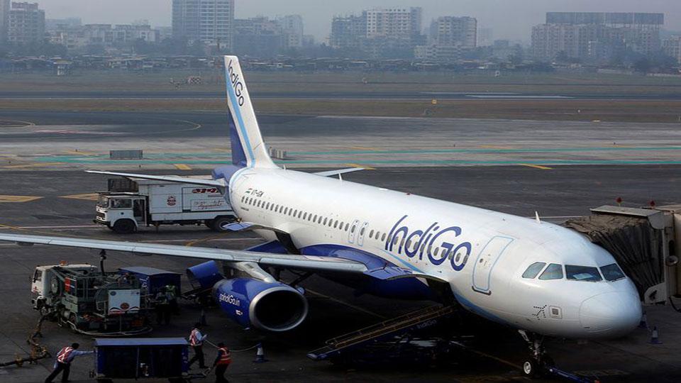 Indigo announces record quarterly profit