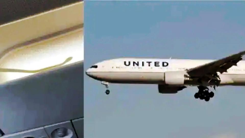 Snake on plane scare passengers onboard United airlines