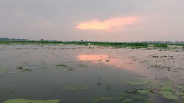 পাখিপল্লী হচ্ছে রক্তদহ বিল
