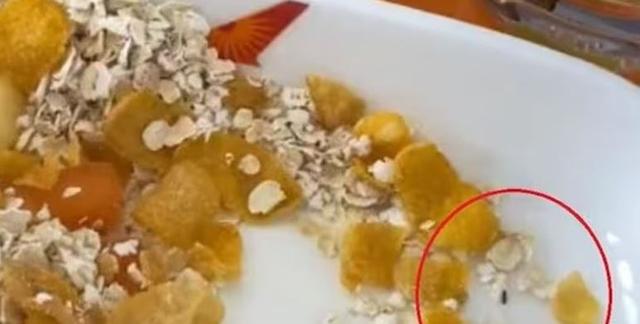 খাবারে পোকা - ফের বিতর্কে এয়ার ইন্ডিয়া