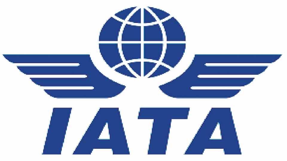 Passenger traffic worldwide expected to double in two decades