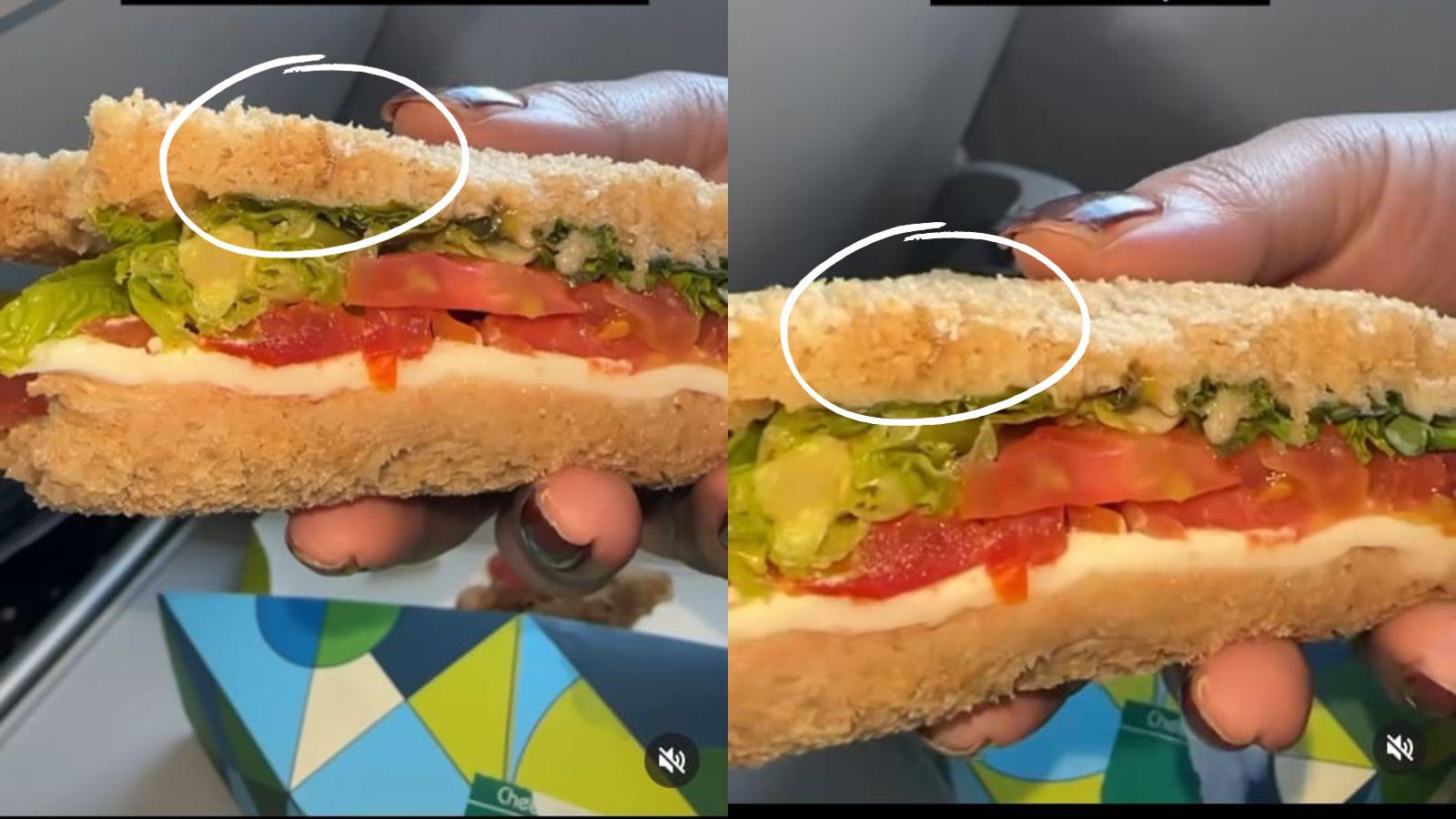 Woman finds worm In sandwich on IndiGo flight