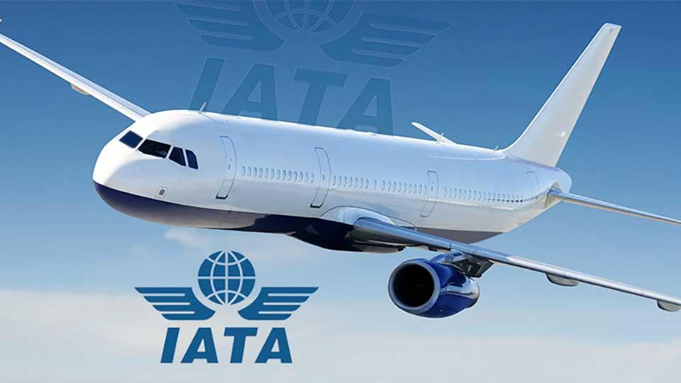 Air travel hits 99pc of 2019 levels