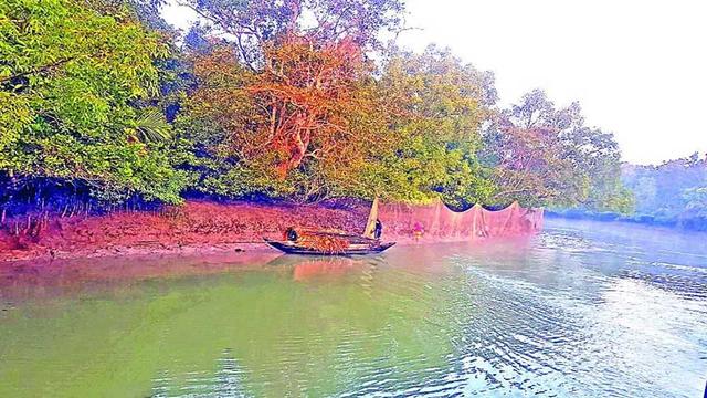 বিবর্ণ সুন্দরবনে ফিরেছে প্রাণ