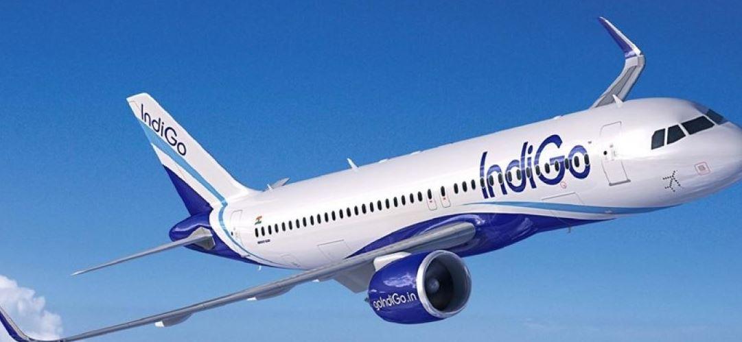 Surat-Delhi IndiGo flight diverted to Ahmedabad after bird hit