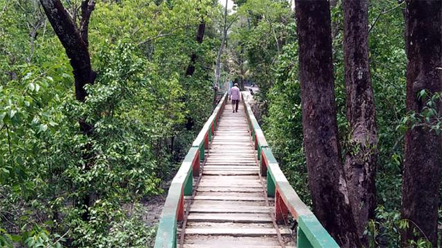 বরগুনার হরিণঘাটা: প্রাকৃতিক সৌন্দর্যের এক লীলাভূমি
