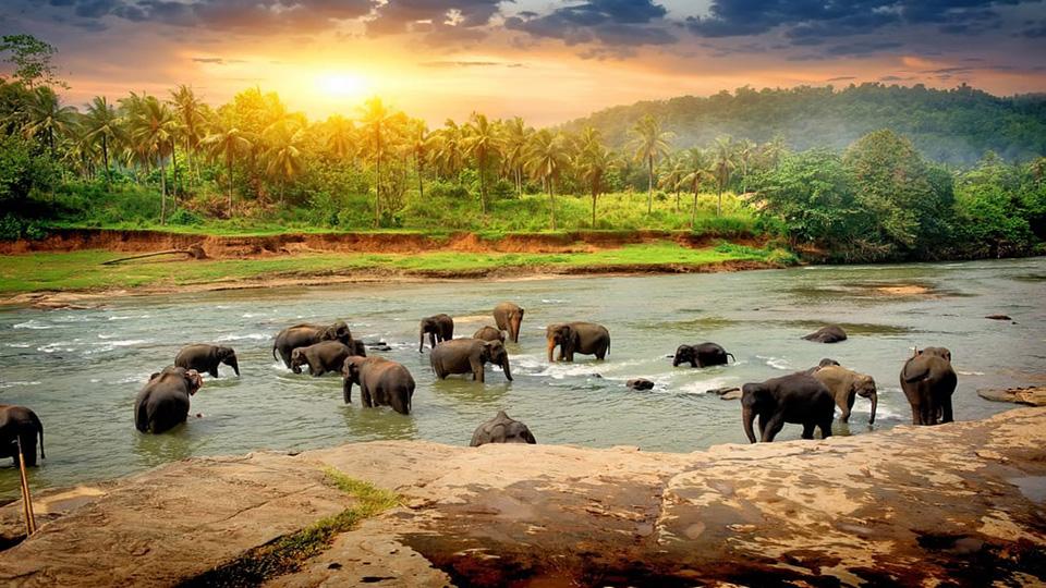 Sri Lanka’s tourism revenue ups significantly in May