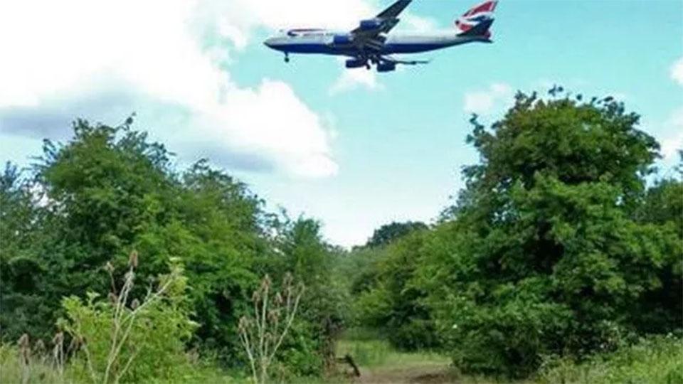 British Airways and Heathrow partner with London wildlife trust