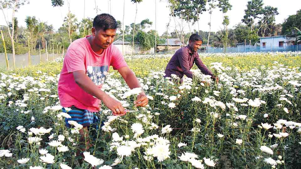 Explore country's untapped agritourism potential for sustainable development