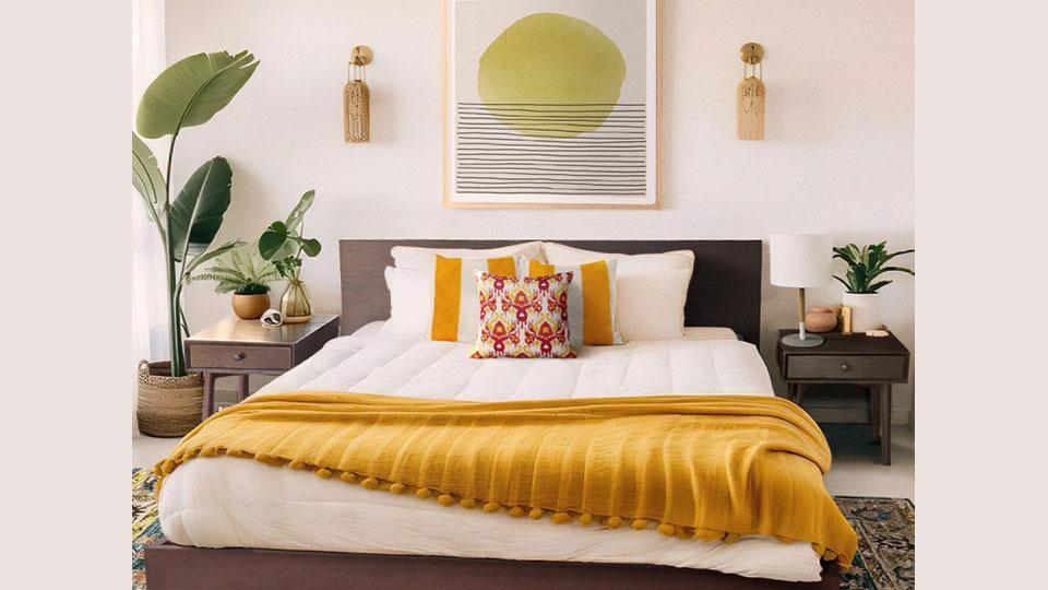 ISHO announces mega price drop, makes luxury furniture affordable