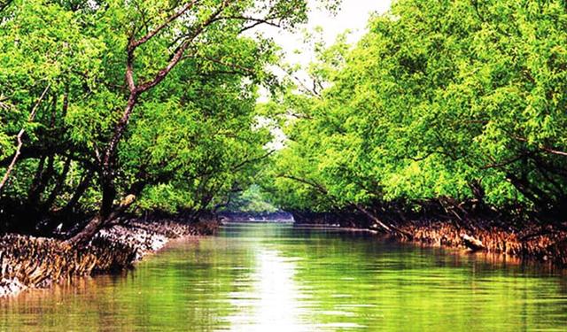 সুন্দরবন ভ্রমণে ৩ মাসের নিষেধাজ্ঞা শুরু আগামীকাল থেকে