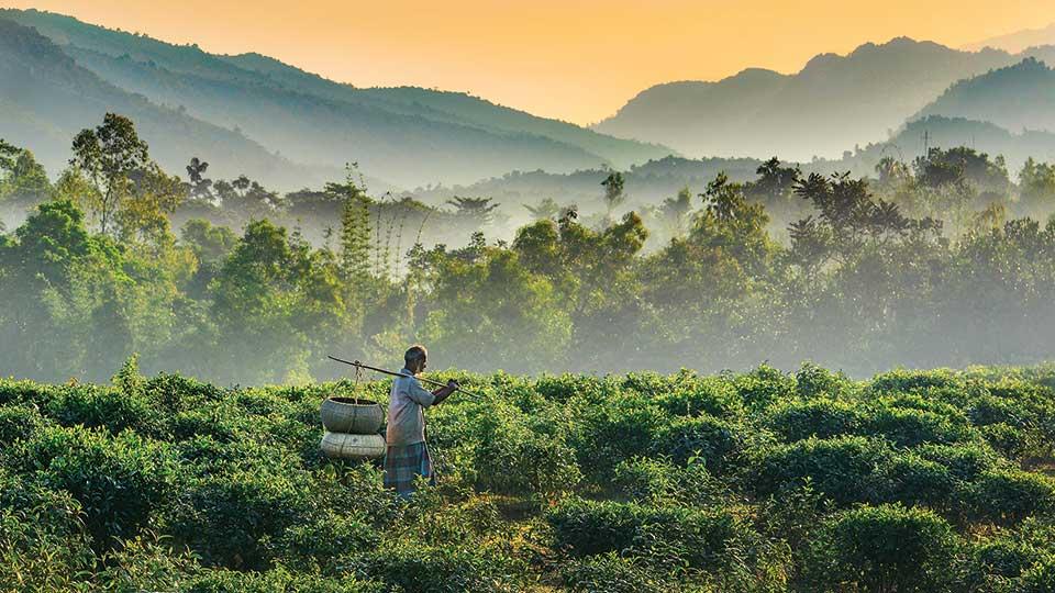 Nature, hill, heritage should be prioritised for country's tourism prosperity