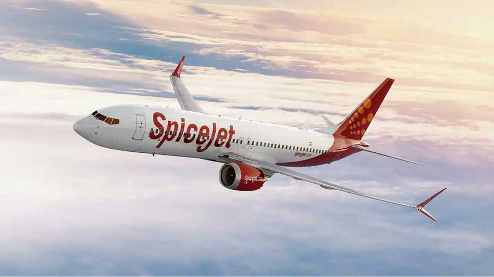 SpiceJet flight returns to Delhi after bird hit