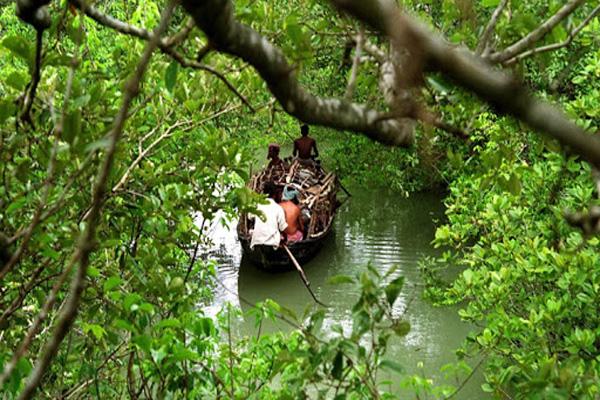 সুন্দরবনের সাতক্ষীরা রেঞ্জে ২ দিন পর্যটক নিষিদ্ধ