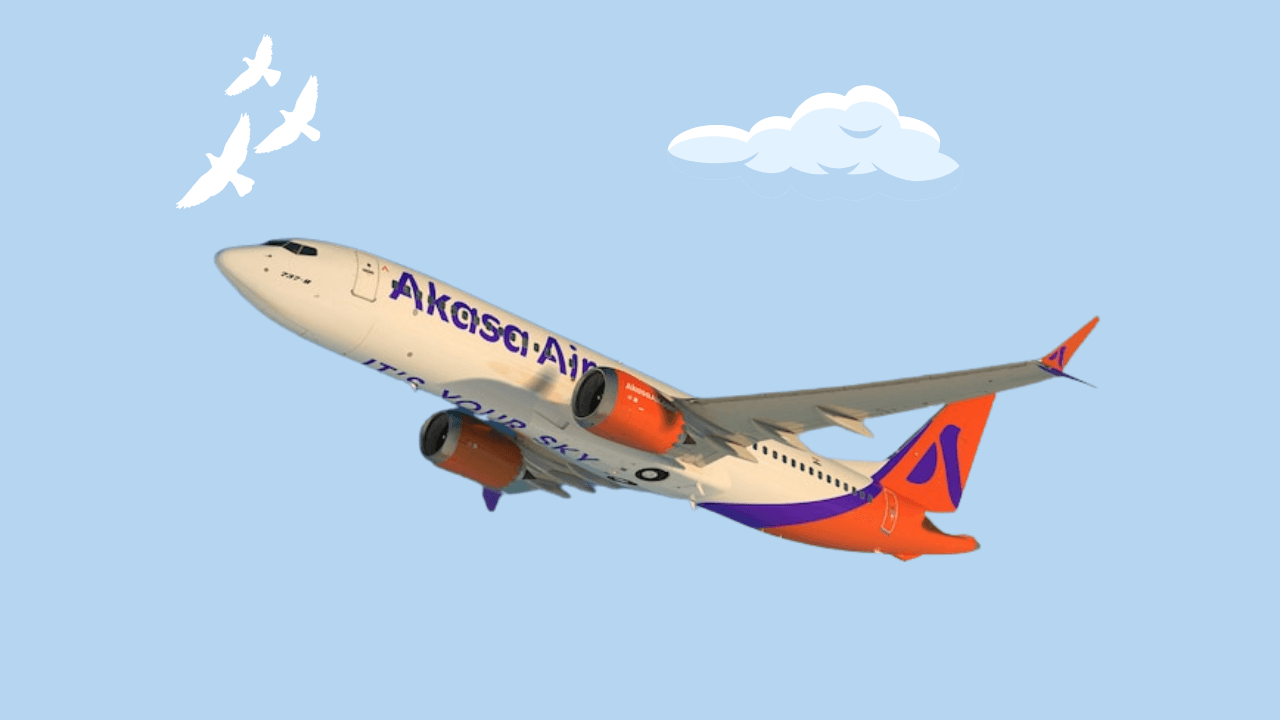 Akasa Air's plane lands safely after bird hit